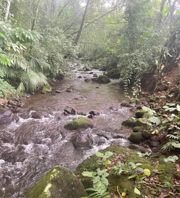 Sky Hostel La Fortuna Dış mekan fotoğraf