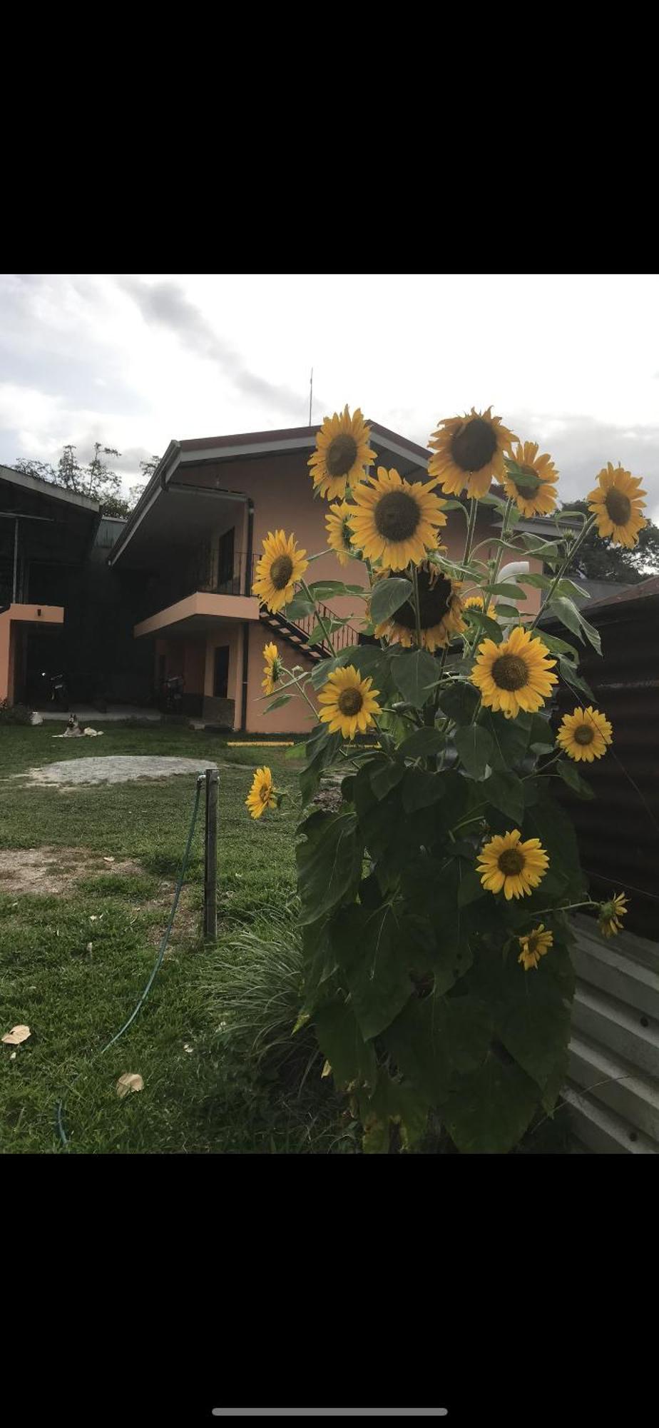 Sky Hostel La Fortuna Dış mekan fotoğraf